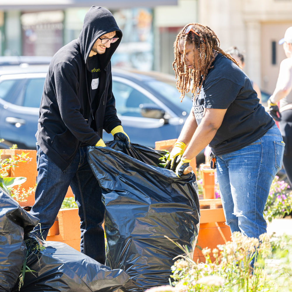 Two people working together to fill a trash bag with weeds